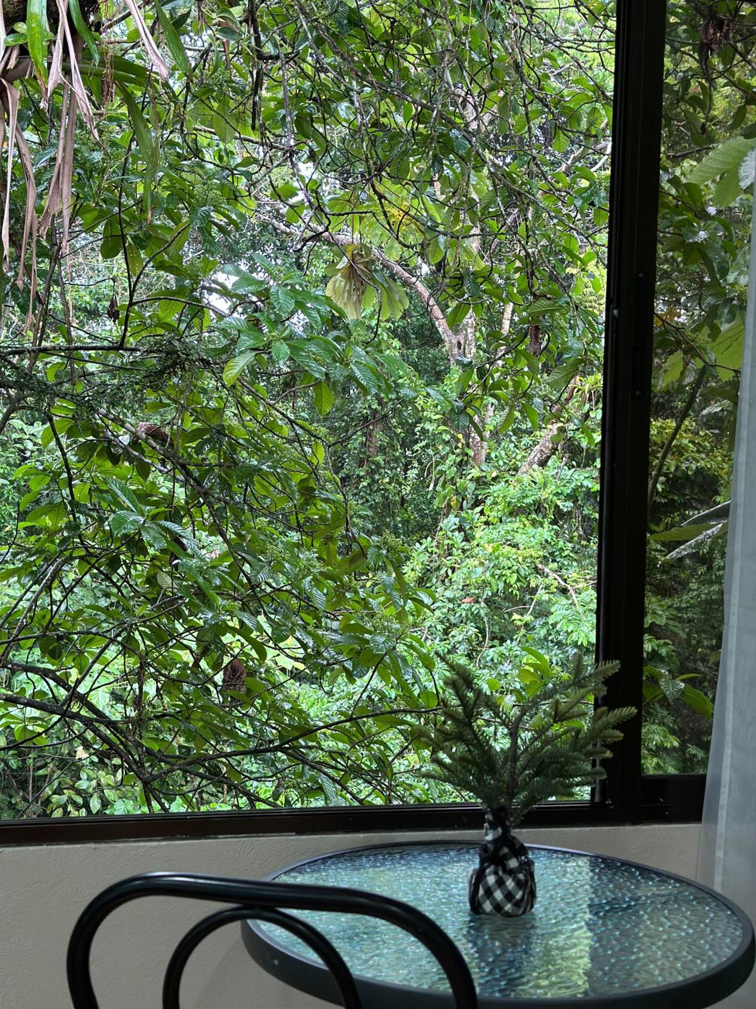 Cabañas Río Escondido en La Fortuna Exterior foto